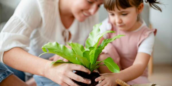 Consejos para reducir la huella ecológica de tu hogar img mini