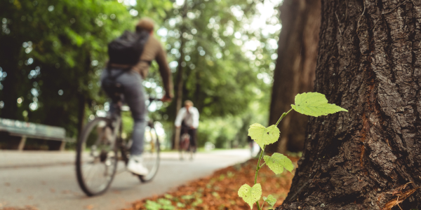 Movilidad sustentable: el futuro ecológico de las ciudades img mini