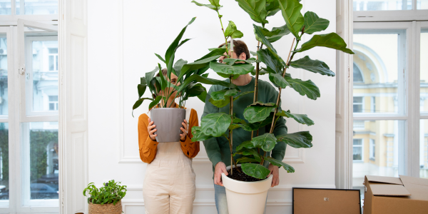 Consejos para fomentar una vida más sustentable desde tu departamento img mini
