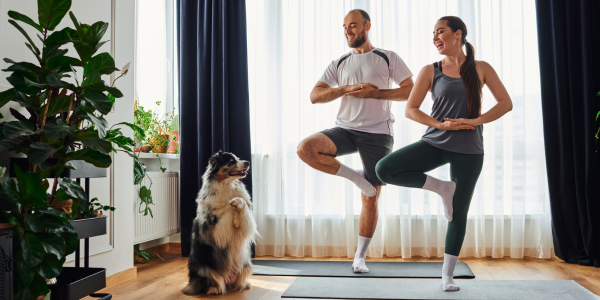 Cómo mantener un estilo de vida activo sin salir de casa img mini