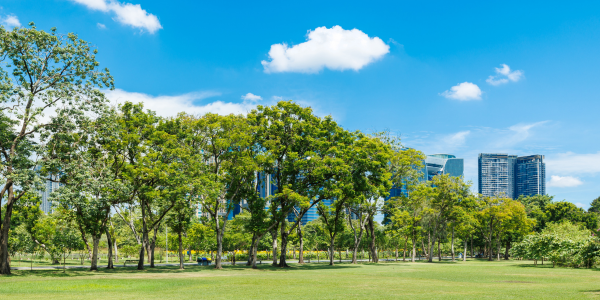¿Por qué las ciudades con espacios públicos de calidad generan mayor valor inmobiliario? img mini